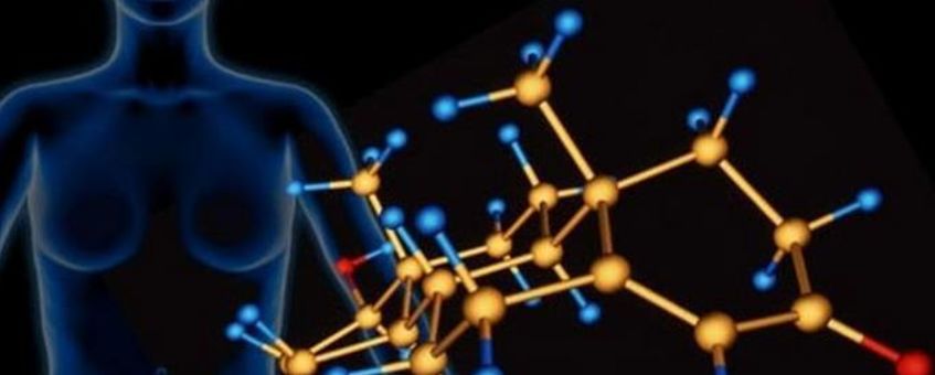 Фото: Низкий пролактин`]]