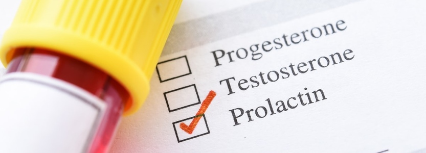 Фото: Последнее в справочнике