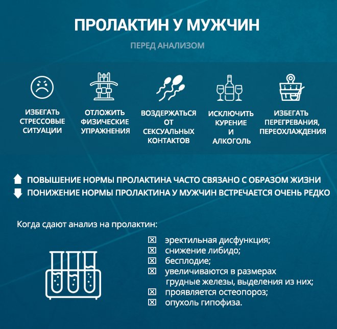 Пролактин важен и для мужского организма